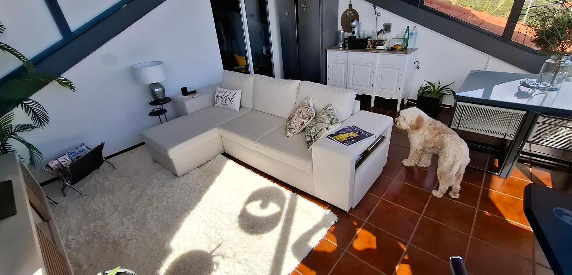 Sally'S Loft - Penthouse - Honeymoon Suite Ponta do Sol  Apartamento Ponta do Sol (Madeira)